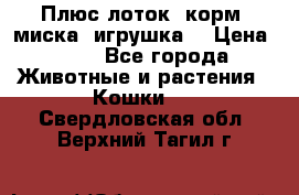 Плюс лоток, корм, миска, игрушка. › Цена ­ 50 - Все города Животные и растения » Кошки   . Свердловская обл.,Верхний Тагил г.